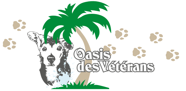 Logo des Vereins Oasis Des Veterans