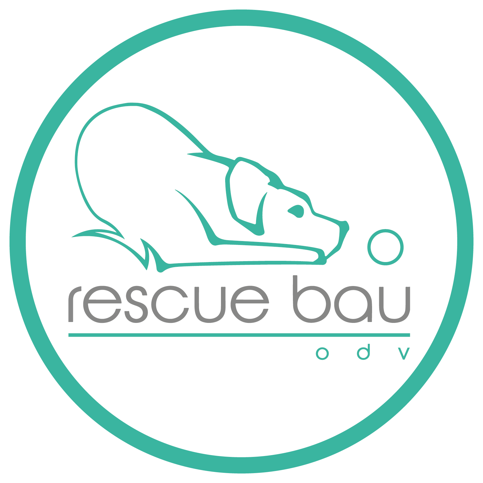 Logo dell'associazione Rescue Bau